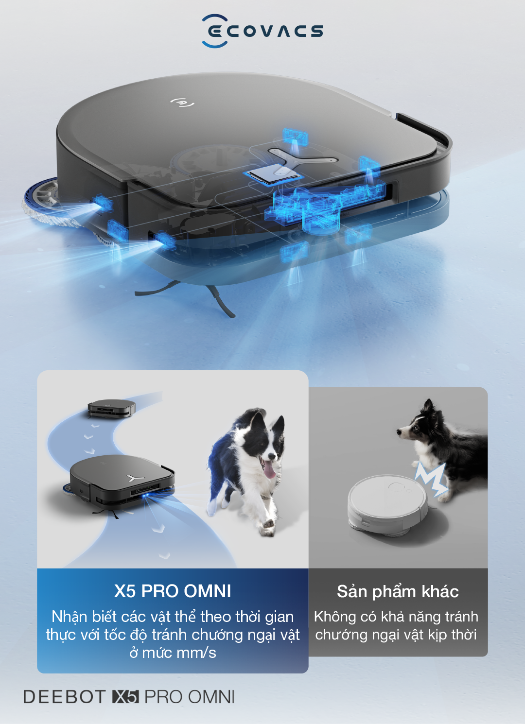 nhận biết các vật thể