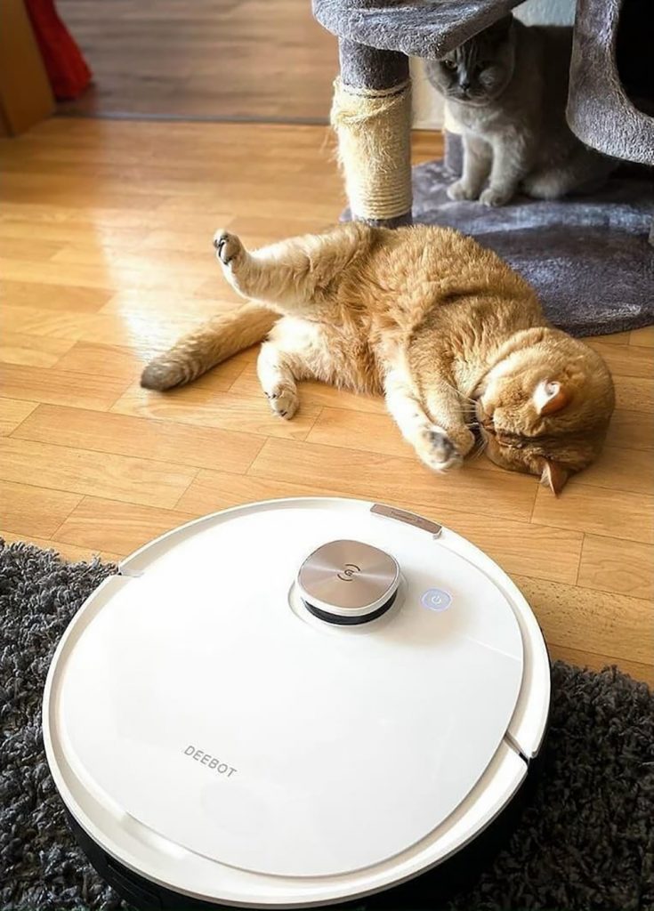 Ecovacs Deebot Ozmo T8 Max hoạt động linh hoạt