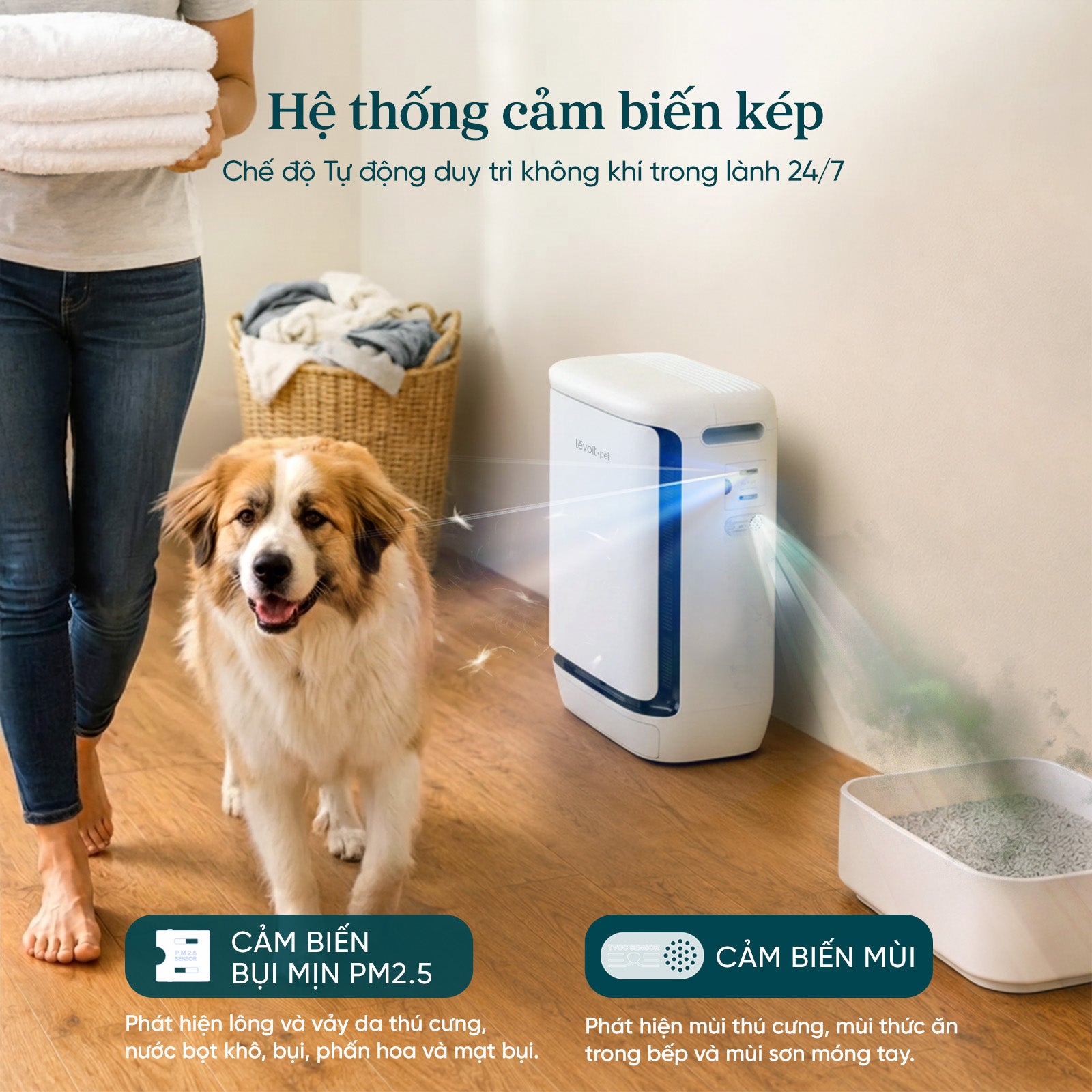 Máy Lọc Không Khí Cho Thú Cưng Levoit Vital Pet Pro - Phòng 51m2 - Ảnh 5