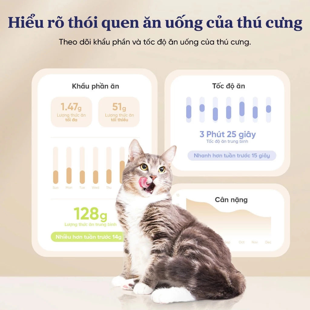 Máy Cho Chó Mèo Ăn Thông Minh Pawsync - Ảnh 7