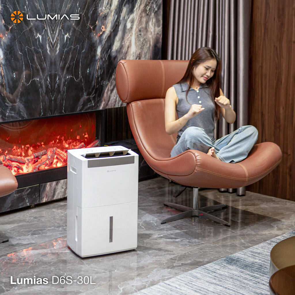 Máy hút ẩm 30L Lumias D6S-30L hút ẩm tới 125m²